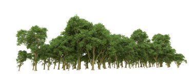 Yeşil orman ıssız. Afişler ve afişler için kullanışlı. 3d oluşturma.