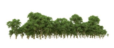 Yeşil orman ıssız. Afişler ve afişler için kullanışlı. 3d oluşturma.