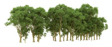 Yeşil orman ıssız. Afişler ve afişler için kullanışlı. 3d oluşturma.