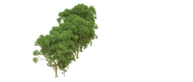 Yeşil orman ıssız. Afişler ve afişler için kullanışlı. 3d oluşturma.