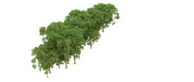 Yeşil orman ıssız. Afişler ve afişler için kullanışlı. 3d oluşturma.