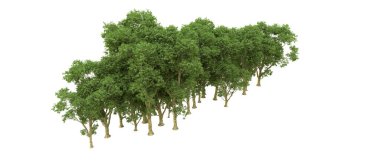 Yeşil orman ıssız. Afişler ve afişler için kullanışlı. 3d oluşturma.