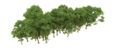 Yeşil orman ıssız. Afişler ve afişler için kullanışlı. 3d oluşturma.