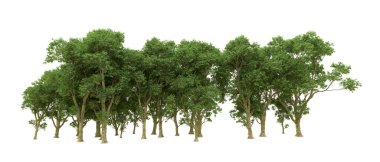 Yeşil orman ıssız. Afişler ve afişler için kullanışlı. 3d oluşturma.