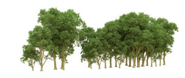 Yeşil orman ıssız. Afişler ve afişler için kullanışlı. 3d oluşturma.