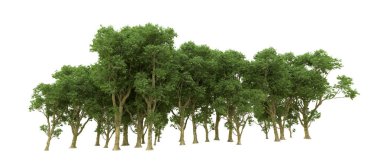 Yeşil orman ıssız. Afişler ve afişler için kullanışlı. 3d oluşturma.