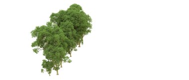 Yeşil orman ıssız. Afişler ve afişler için kullanışlı. 3d oluşturma.