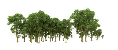 Yeşil orman ıssız. Afişler ve afişler için kullanışlı. 3d oluşturma.