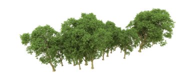 Yeşil orman ıssız. Afişler ve afişler için kullanışlı. 3d oluşturma.