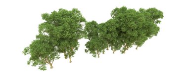 Yeşil orman ıssız. Afişler ve afişler için kullanışlı. 3d oluşturma.