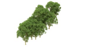 Yeşil orman ıssız. Afişler ve afişler için kullanışlı. 3d oluşturma.