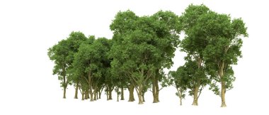 Yeşil orman ıssız. Afişler ve afişler için kullanışlı. 3d oluşturma.