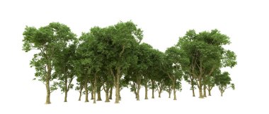 Yeşil orman ıssız. Afişler ve afişler için kullanışlı. 3d oluşturma.