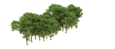 Yeşil orman ıssız. Afişler ve afişler için kullanışlı. 3d oluşturma.