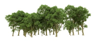 Yeşil orman ıssız. Afişler ve afişler için kullanışlı. 3d oluşturma.