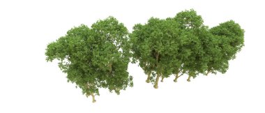 Yeşil orman ıssız. Afişler ve afişler için kullanışlı. 3d oluşturma.