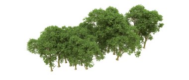 Yeşil orman ıssız. Afişler ve afişler için kullanışlı. 3d oluşturma.