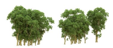 Yeşil orman ıssız. Afişler ve afişler için kullanışlı. 3d oluşturma.