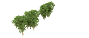 Yeşil orman ıssız. Afişler ve afişler için kullanışlı. 3d oluşturma.