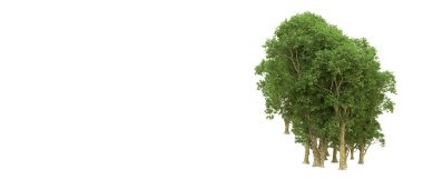 Yeşil orman ıssız. Afişler ve afişler için kullanışlı. 3d oluşturma.