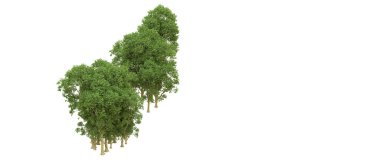Yeşil orman ıssız. Afişler ve afişler için kullanışlı. 3d oluşturma.