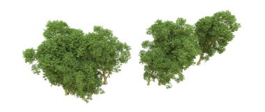 Yeşil orman ıssız. Afişler ve afişler için kullanışlı. 3d oluşturma.