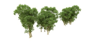 Yeşil orman ıssız. Afişler ve afişler için kullanışlı. 3d oluşturma.