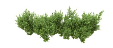 Yeşil orman ıssız. Afişler ve afişler için kullanışlı. 3d oluşturma.