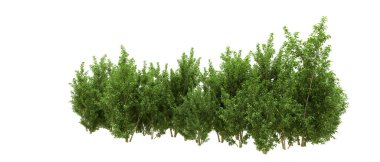 Yeşil orman ıssız. Afişler ve afişler için kullanışlı. 3d oluşturma.