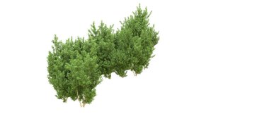 Yeşil orman ıssız. Afişler ve afişler için kullanışlı. 3d oluşturma.