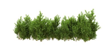 Yeşil orman ıssız. Afişler ve afişler için kullanışlı. 3d oluşturma.