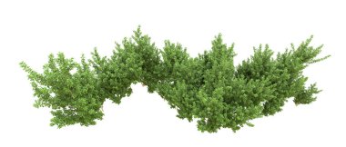 Yeşil orman ıssız. Afişler ve afişler için kullanışlı. 3d oluşturma.