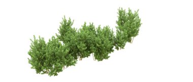 Yeşil orman ıssız. Afişler ve afişler için kullanışlı. 3d oluşturma.