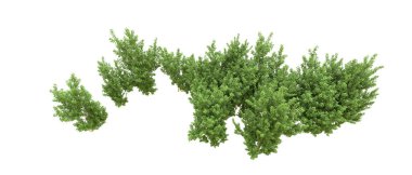 Yeşil orman ıssız. Afişler ve afişler için kullanışlı. 3d oluşturma.