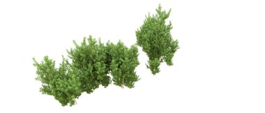 Yeşil orman ıssız. Afişler ve afişler için kullanışlı. 3d oluşturma.