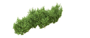 Yeşil orman ıssız. Afişler ve afişler için kullanışlı. 3d oluşturma.