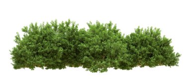 Yeşil orman ıssız. Afişler ve afişler için kullanışlı. 3d oluşturma.