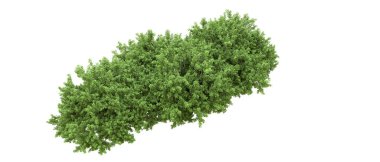 Yeşil orman ıssız. Afişler ve afişler için kullanışlı. 3d oluşturma.