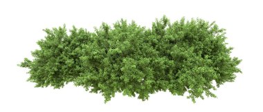 Yeşil orman ıssız. Afişler ve afişler için kullanışlı. 3d oluşturma.