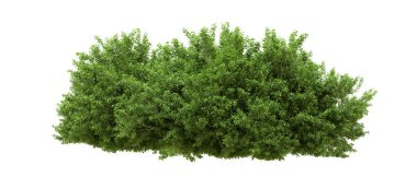 Yeşil orman ıssız. Afişler ve afişler için kullanışlı. 3d oluşturma.