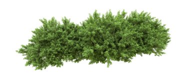 Yeşil orman ıssız. Afişler ve afişler için kullanışlı. 3d oluşturma.