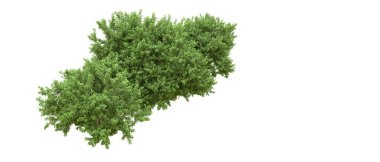 Yeşil orman ıssız. Afişler ve afişler için kullanışlı. 3d oluşturma.