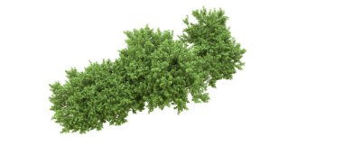 Yeşil orman ıssız. Afişler ve afişler için kullanışlı. 3d oluşturma.