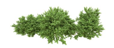 Yeşil orman ıssız. Afişler ve afişler için kullanışlı. 3d oluşturma.