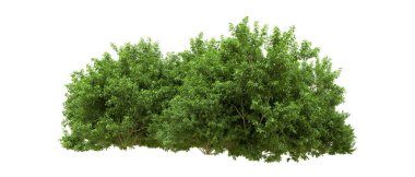 Yeşil orman ıssız. Afişler ve afişler için kullanışlı. 3d oluşturma.