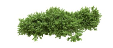 Yeşil orman ıssız. Afişler ve afişler için kullanışlı. 3d oluşturma.