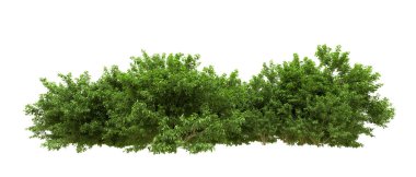 Yeşil orman ıssız. Afişler ve afişler için kullanışlı. 3d oluşturma.