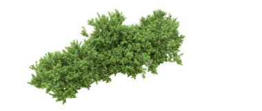 Yeşil orman ıssız. Afişler ve afişler için kullanışlı. 3d oluşturma.