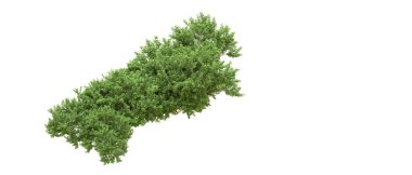 Yeşil orman ıssız. Afişler ve afişler için kullanışlı. 3d oluşturma.