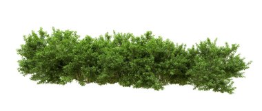 Yeşil orman ıssız. Afişler ve afişler için kullanışlı. 3d oluşturma.